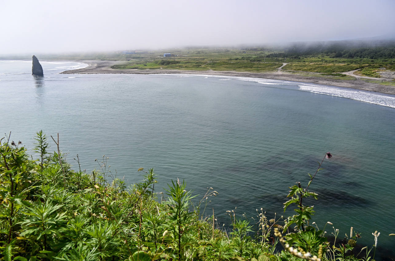 Мыс Сукачёва, image of landscape/habitat.