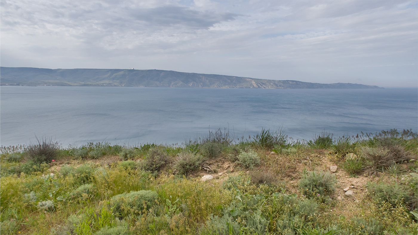 Гора Батон, image of landscape/habitat.