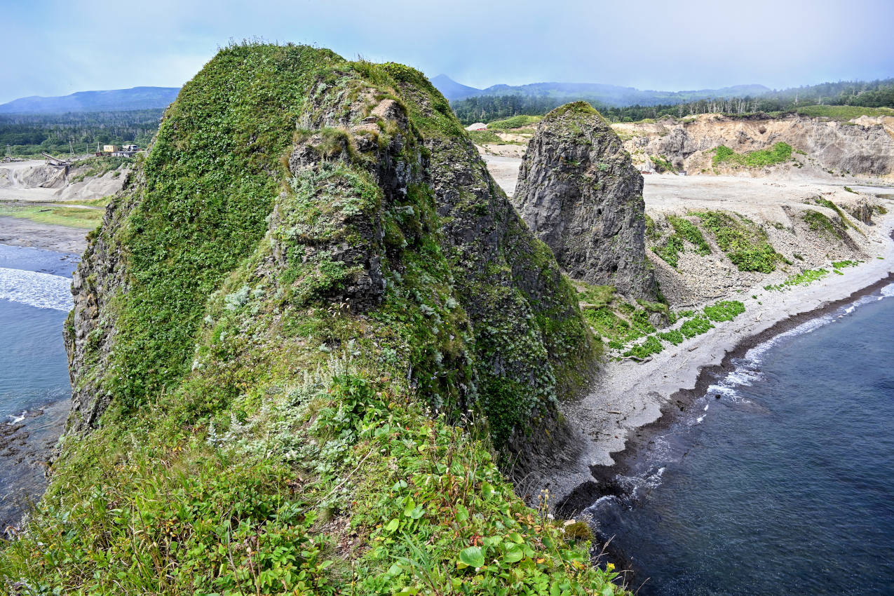 Мыс Сукачёва, image of landscape/habitat.