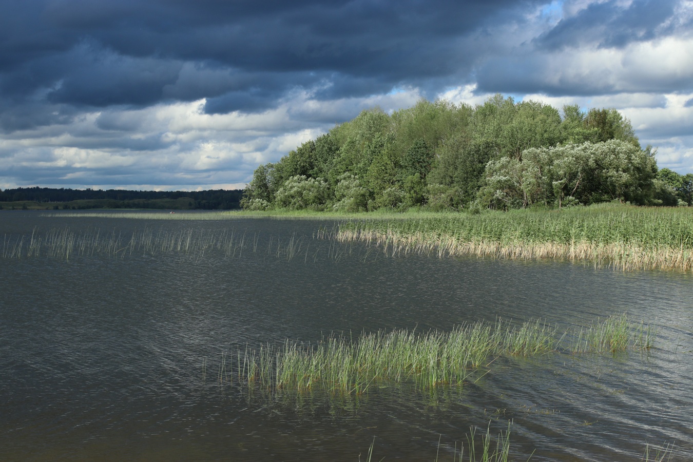 Езерище и окрестности, image of landscape/habitat.