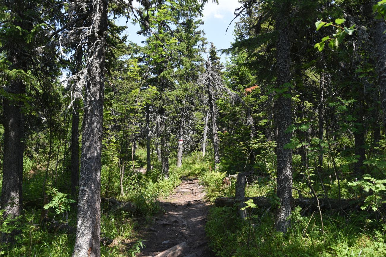 Урочище Долина Сказок, image of landscape/habitat.