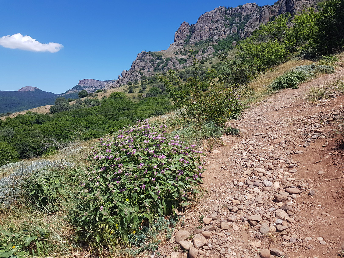 Южная Демерджи, image of landscape/habitat.