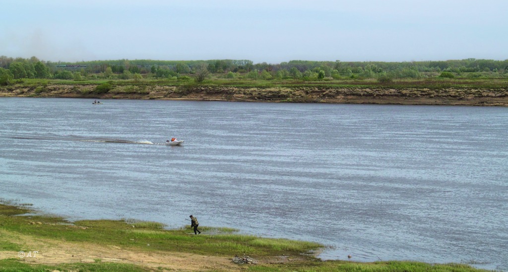 Муром, image of landscape/habitat.