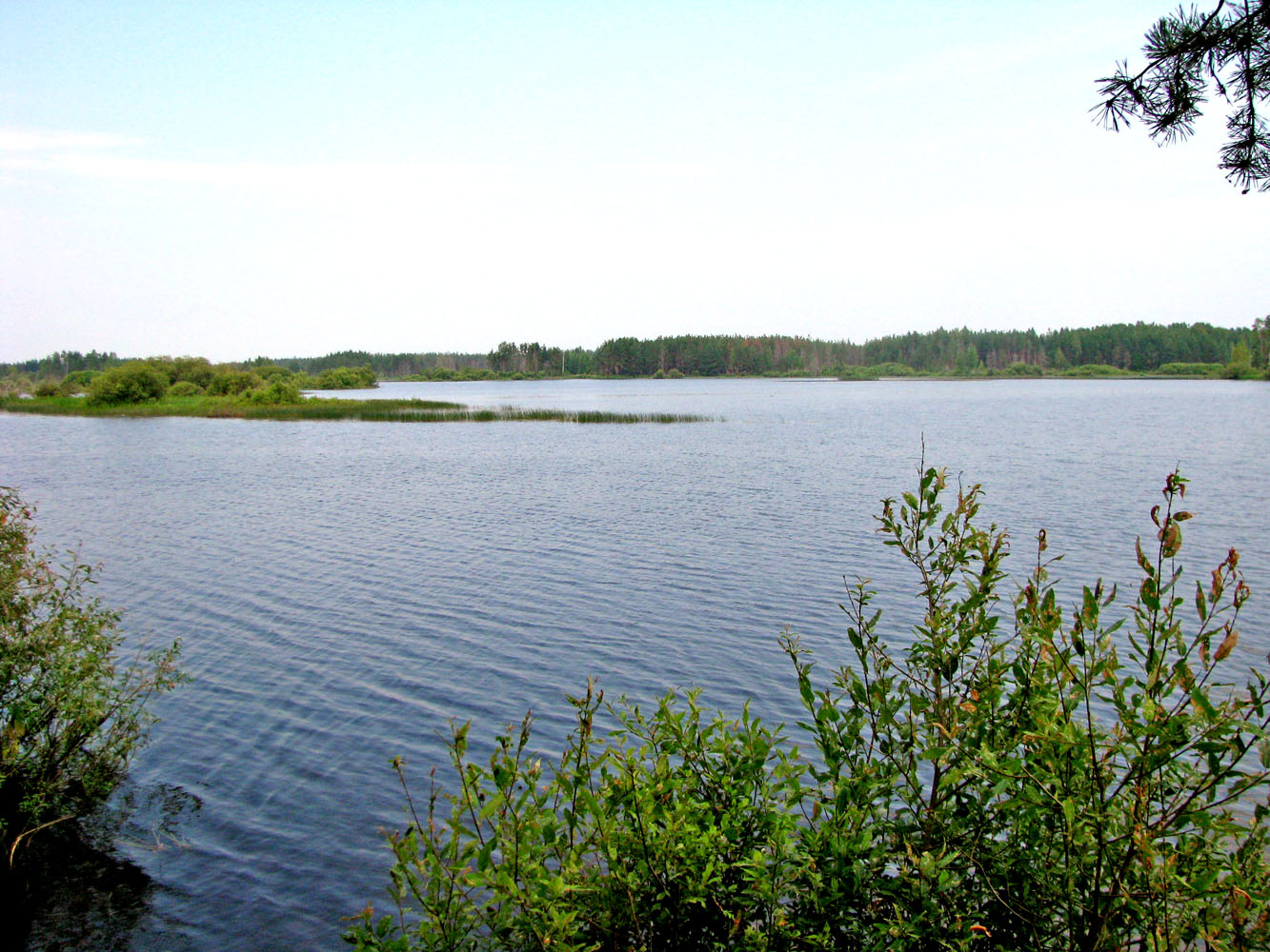 Река Реня, image of landscape/habitat.