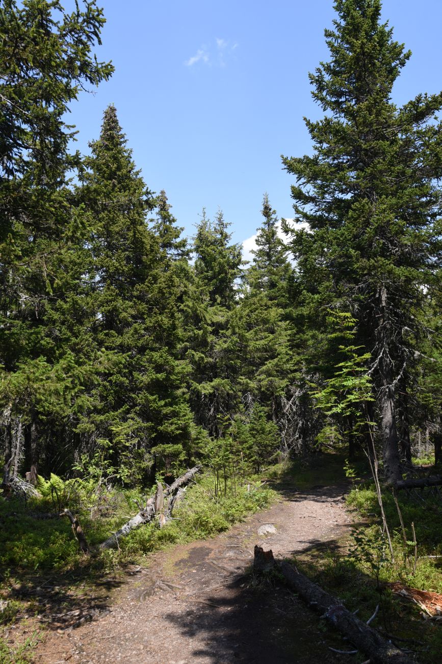 Урочище Долина Сказок, image of landscape/habitat.