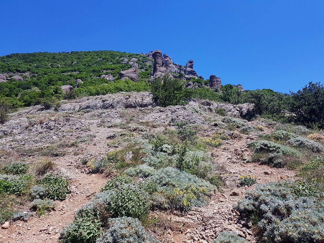 Южная Демерджи, image of landscape/habitat.