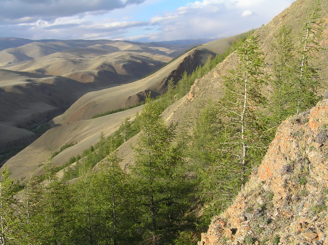 Бар-Бургазы / Юстыд, image of landscape/habitat.