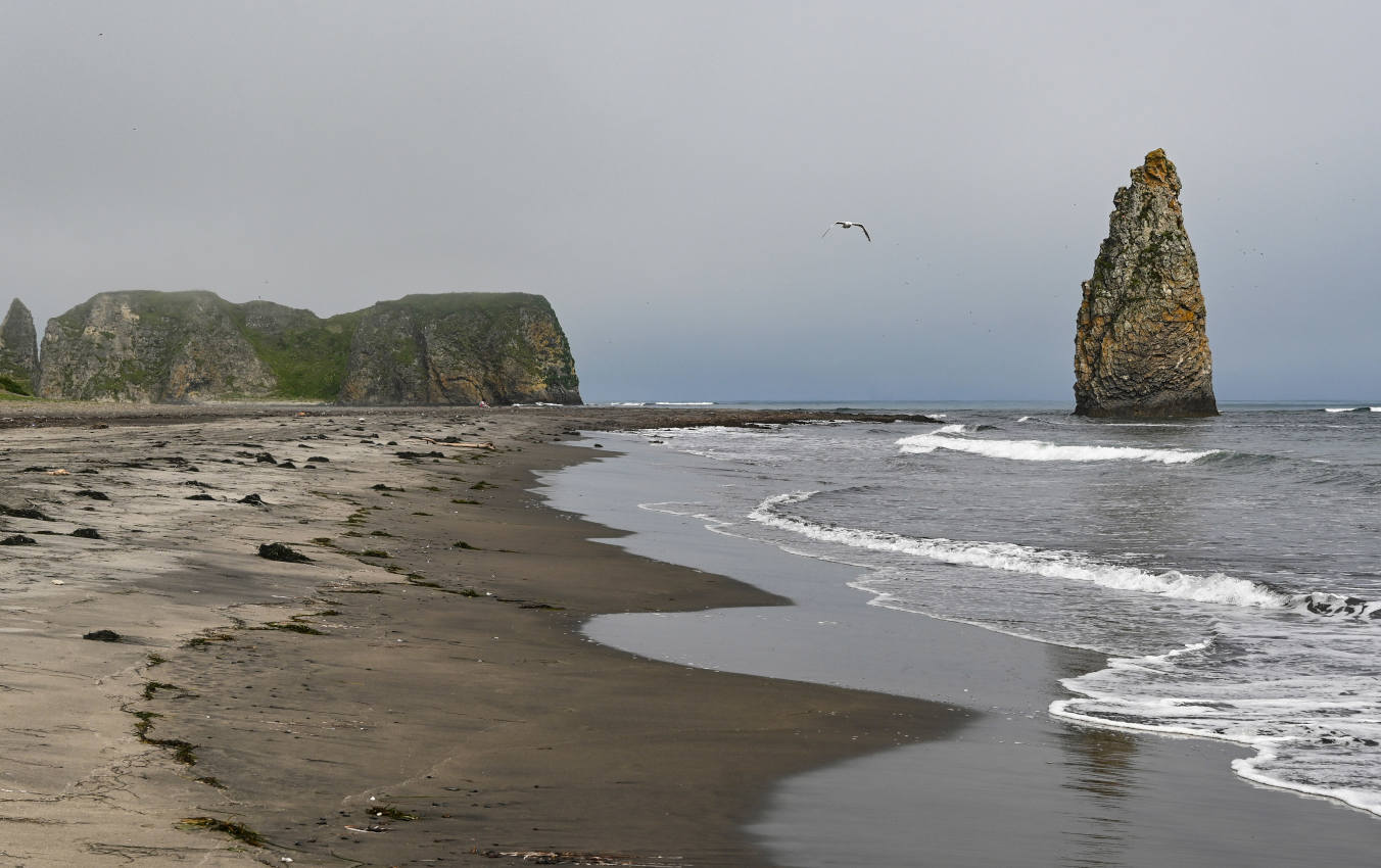 Мыс Сукачёва, image of landscape/habitat.