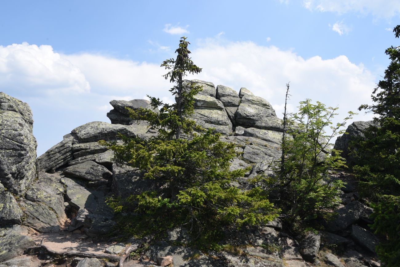 Урочище Долина Сказок, image of landscape/habitat.