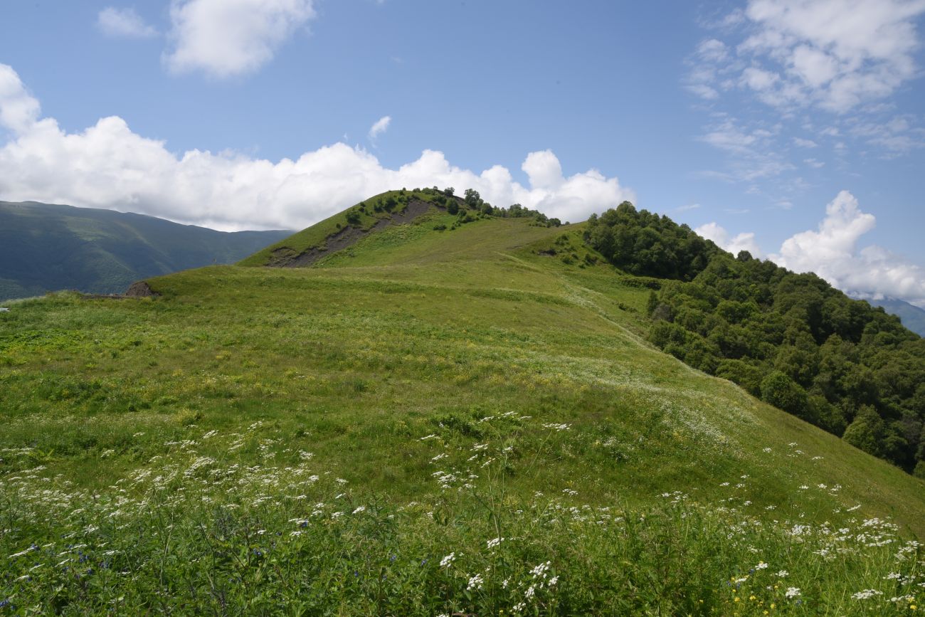 Хиндушты, image of landscape/habitat.