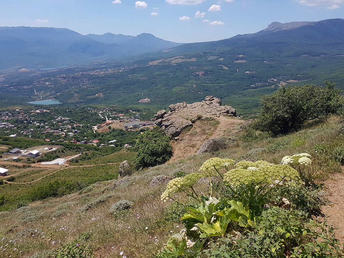Южная Демерджи, image of landscape/habitat.
