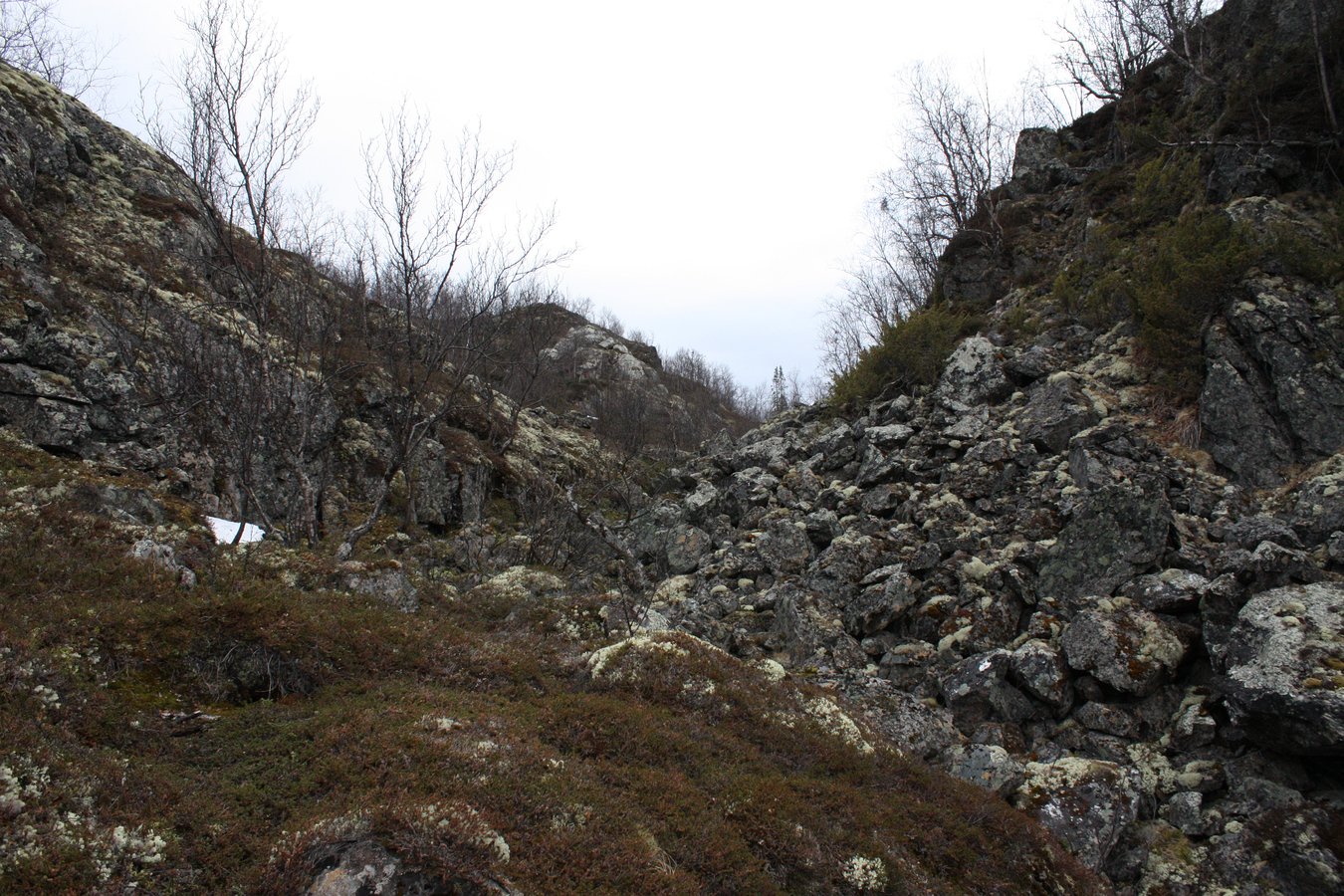 Могильный Ров, image of landscape/habitat.