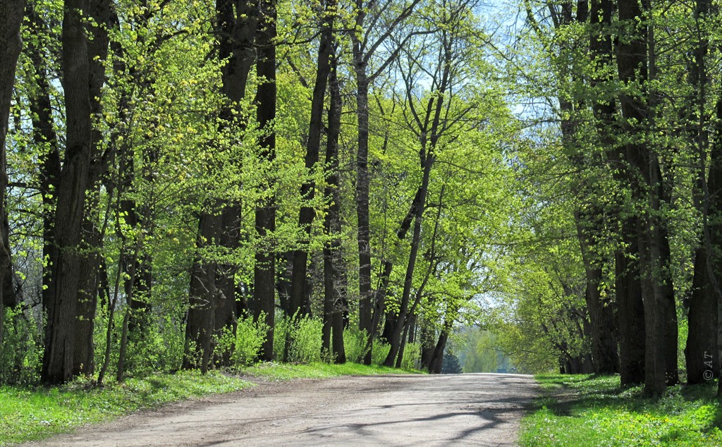 Музей-усадьба "Ясная Поляна", image of landscape/habitat.