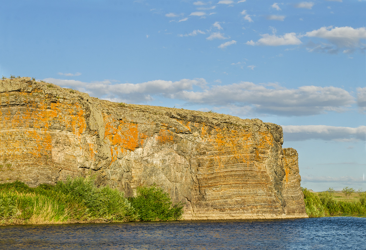 Ершовский, image of landscape/habitat.