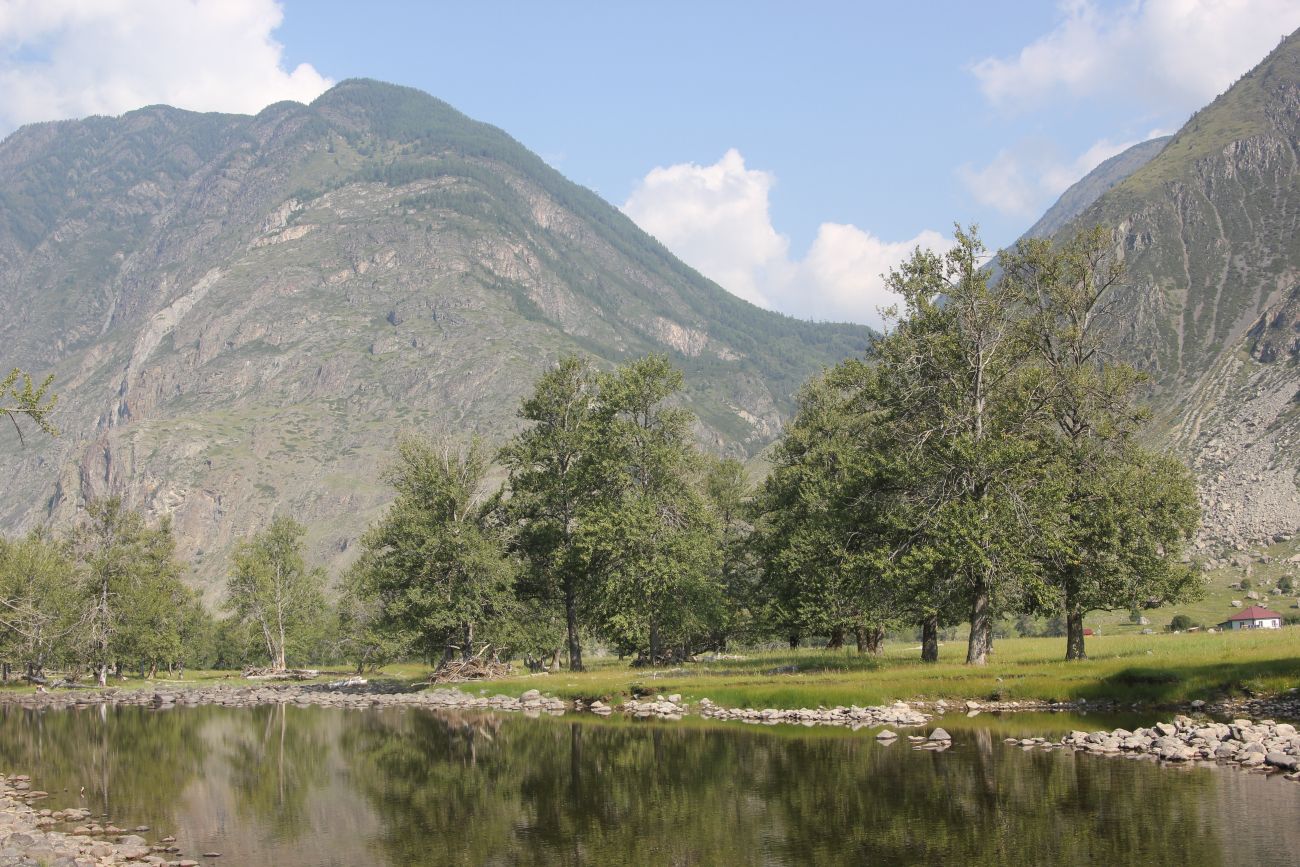 Окрестности устья реки Чульча, image of landscape/habitat.