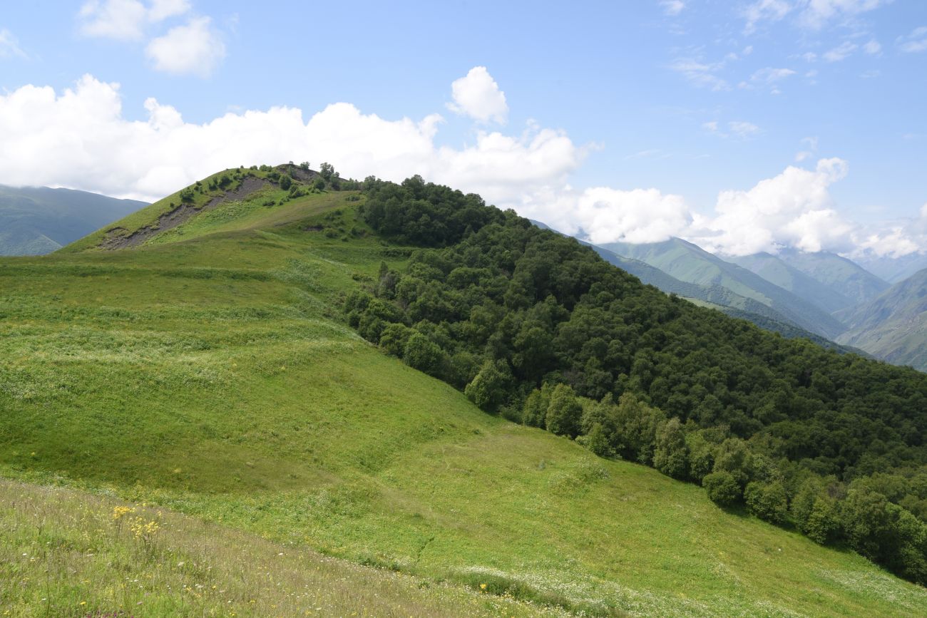 Хиндушты, image of landscape/habitat.