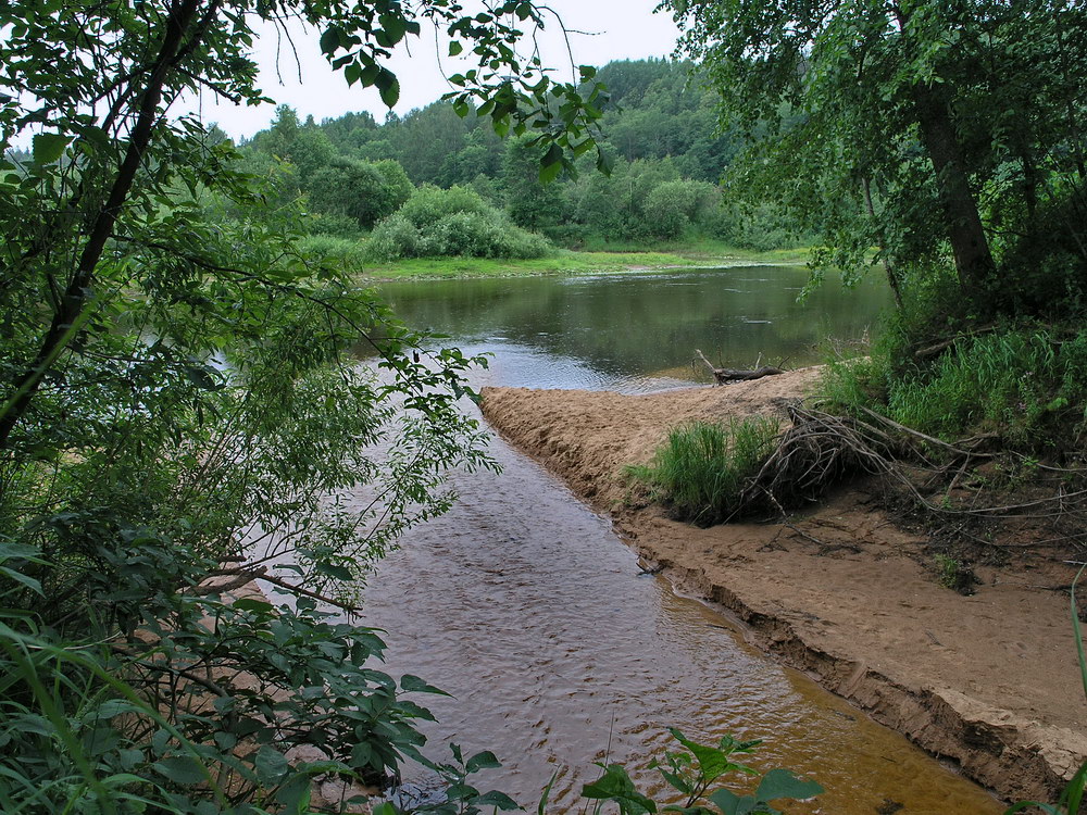 Луга у Кемки, image of landscape/habitat.