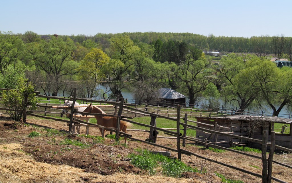 Музей-усадьба "Ясная Поляна", image of landscape/habitat.