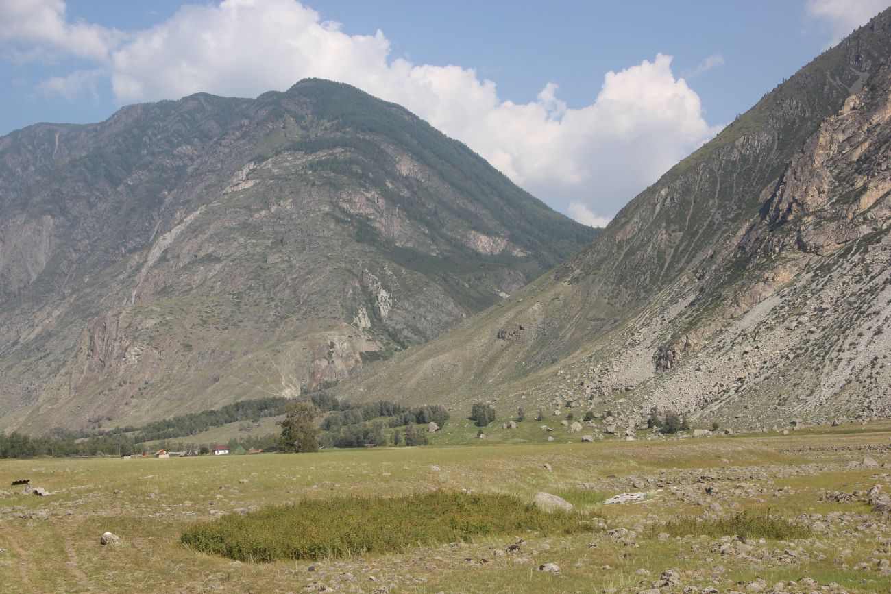 Окрестности урочища Чегее, image of landscape/habitat.