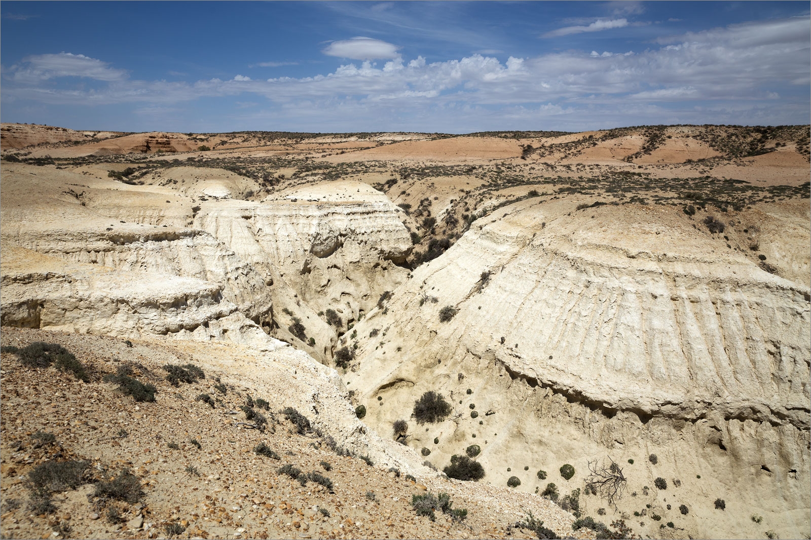 Ушшонкал, image of landscape/habitat.