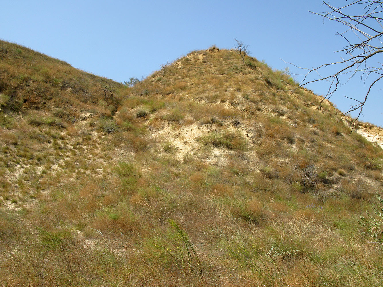 Витязевский лиман, image of landscape/habitat.