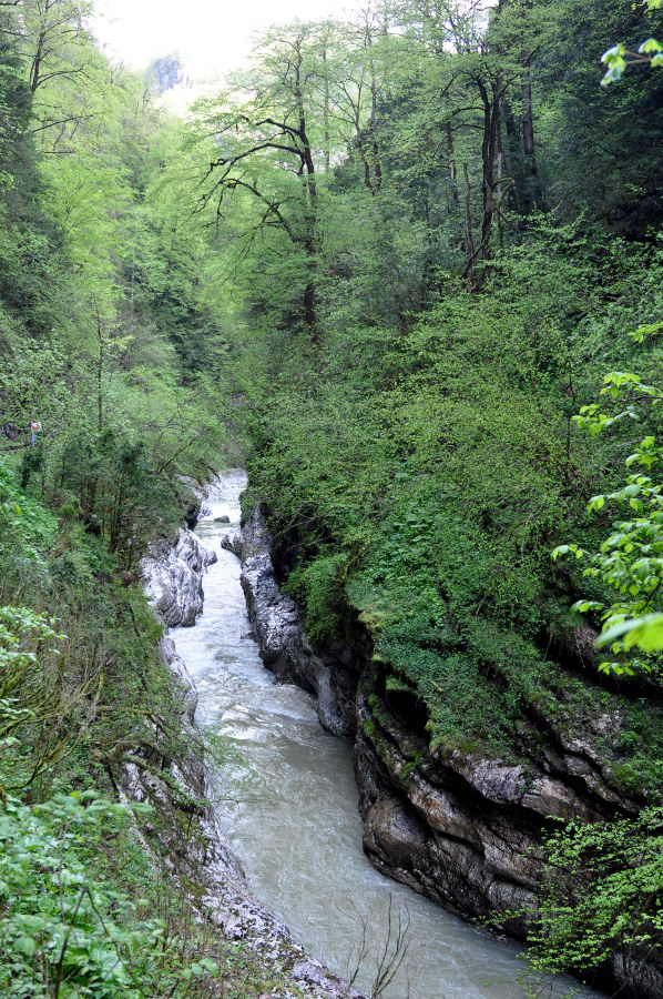 Гуамское ущелье, image of landscape/habitat.