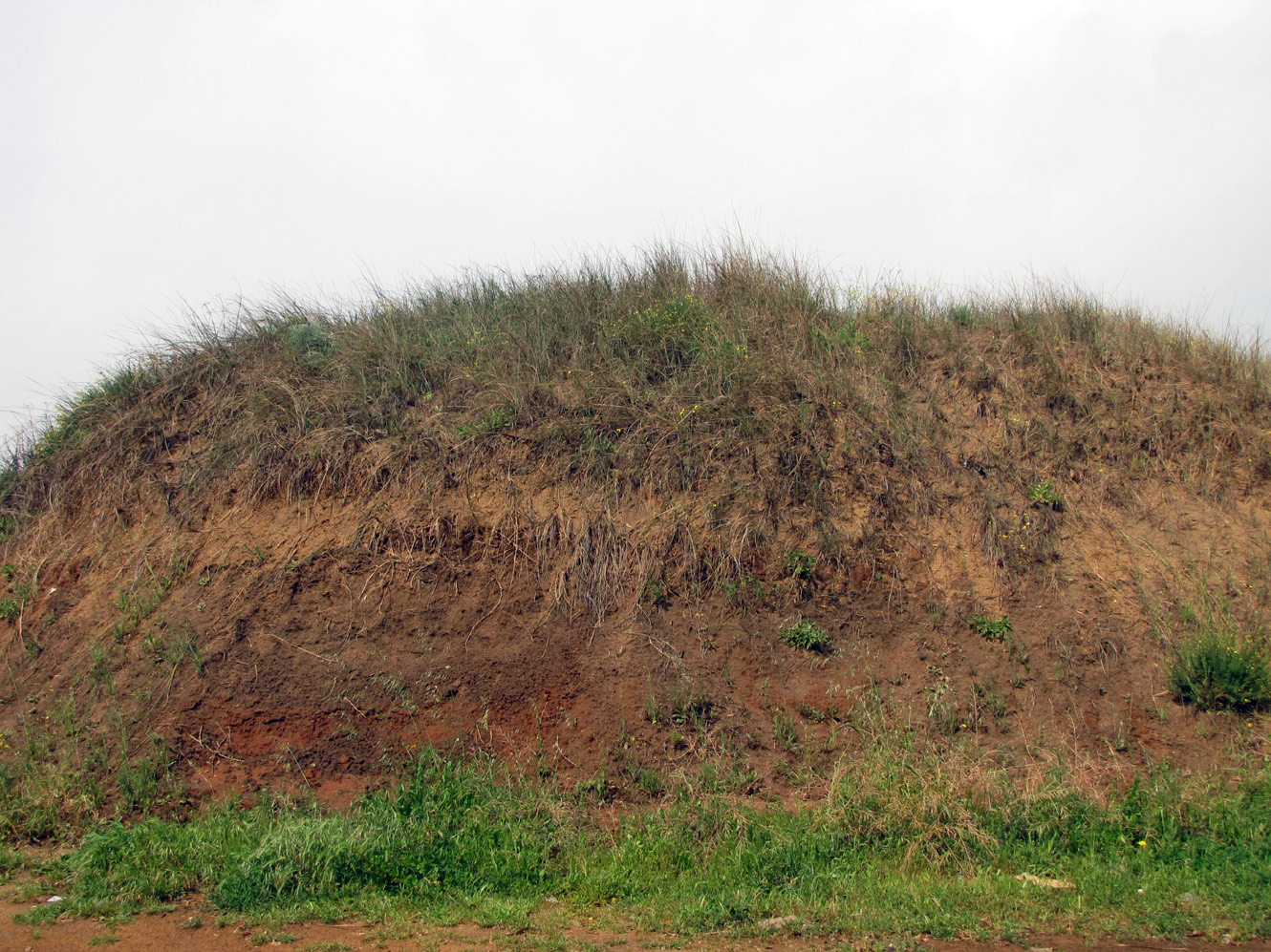 Пески на окраине города Холон, image of landscape/habitat.