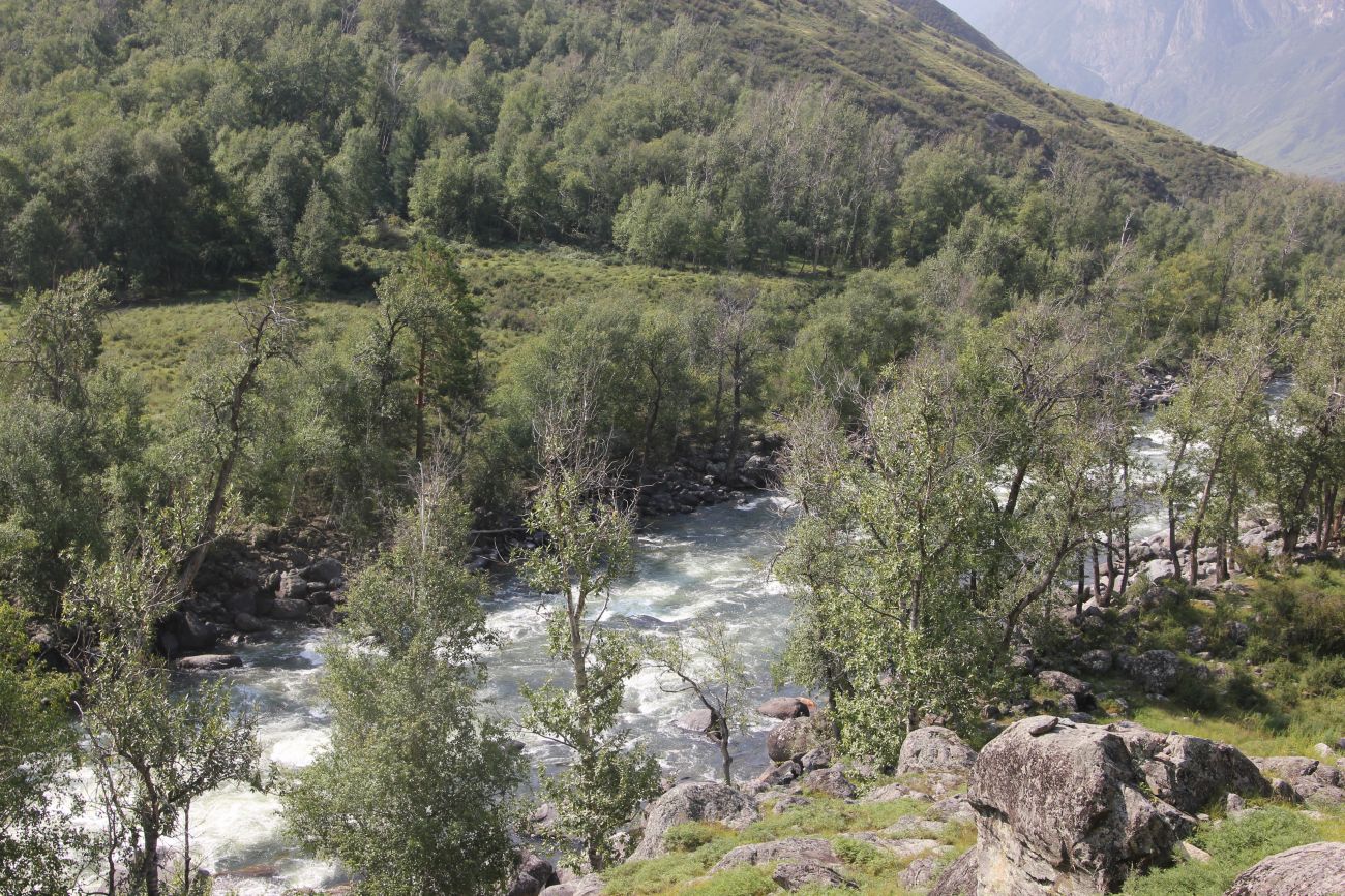 КПП Алтайского заповедника, image of landscape/habitat.