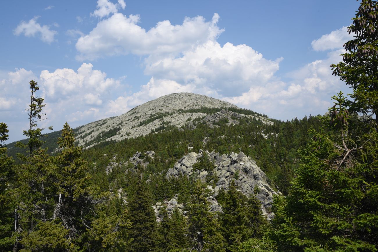 Круглица, image of landscape/habitat.