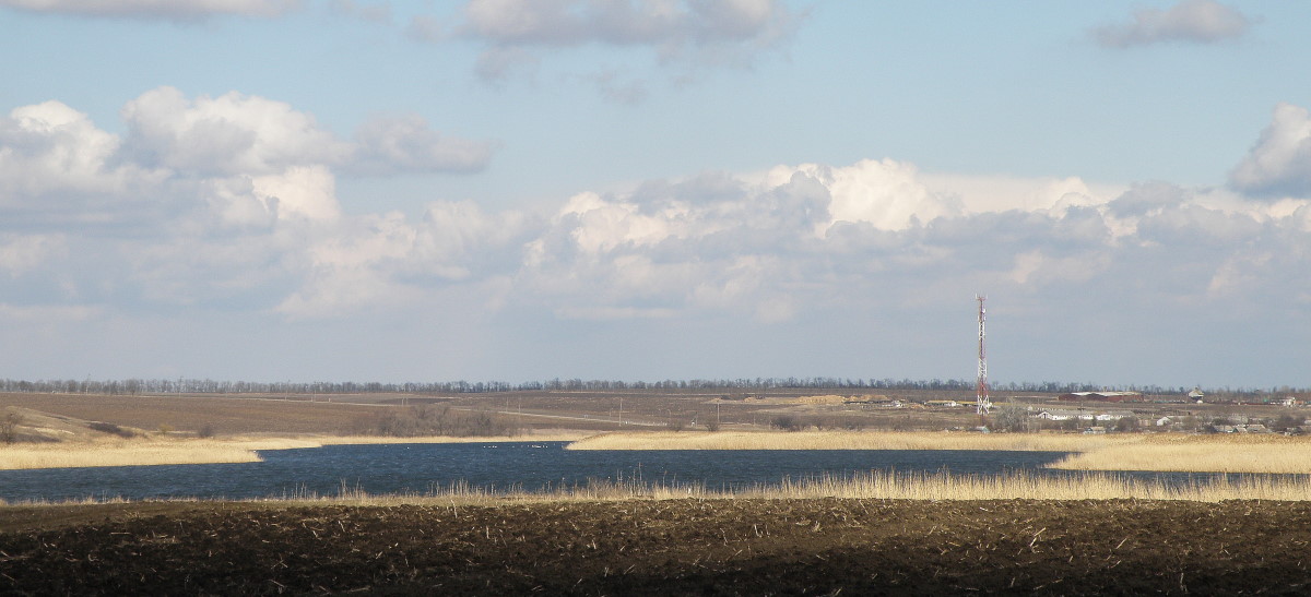 Станица Шкуринская, image of landscape/habitat.