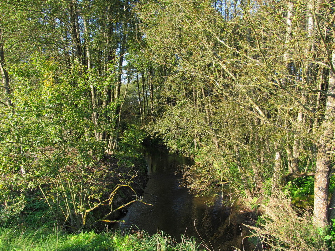 Река Валовка, image of landscape/habitat.