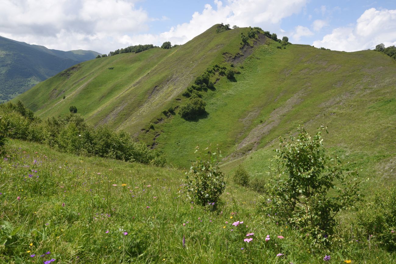 Хиндушты, image of landscape/habitat.