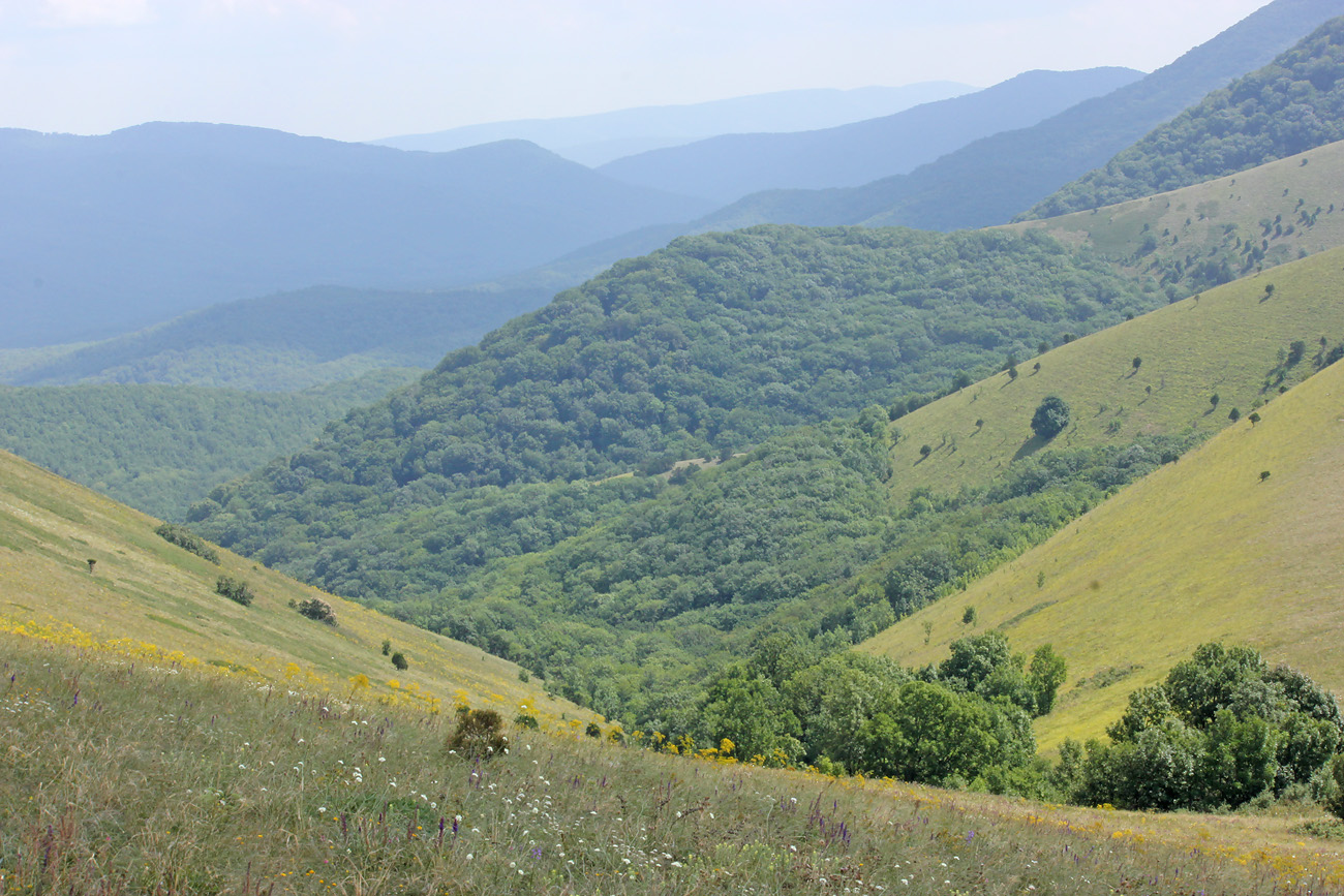 Отроги горы Совхозная, image of landscape/habitat.