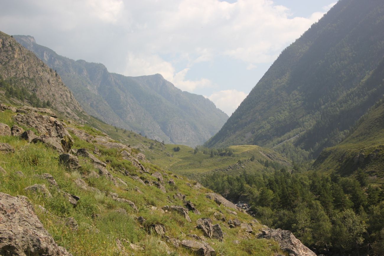 КПП Алтайского заповедника, image of landscape/habitat.