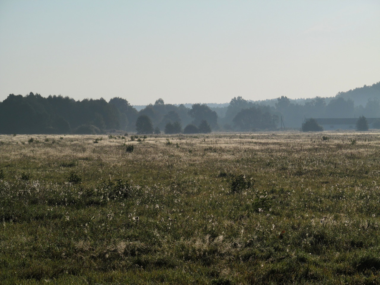 Река Валовка, image of landscape/habitat.