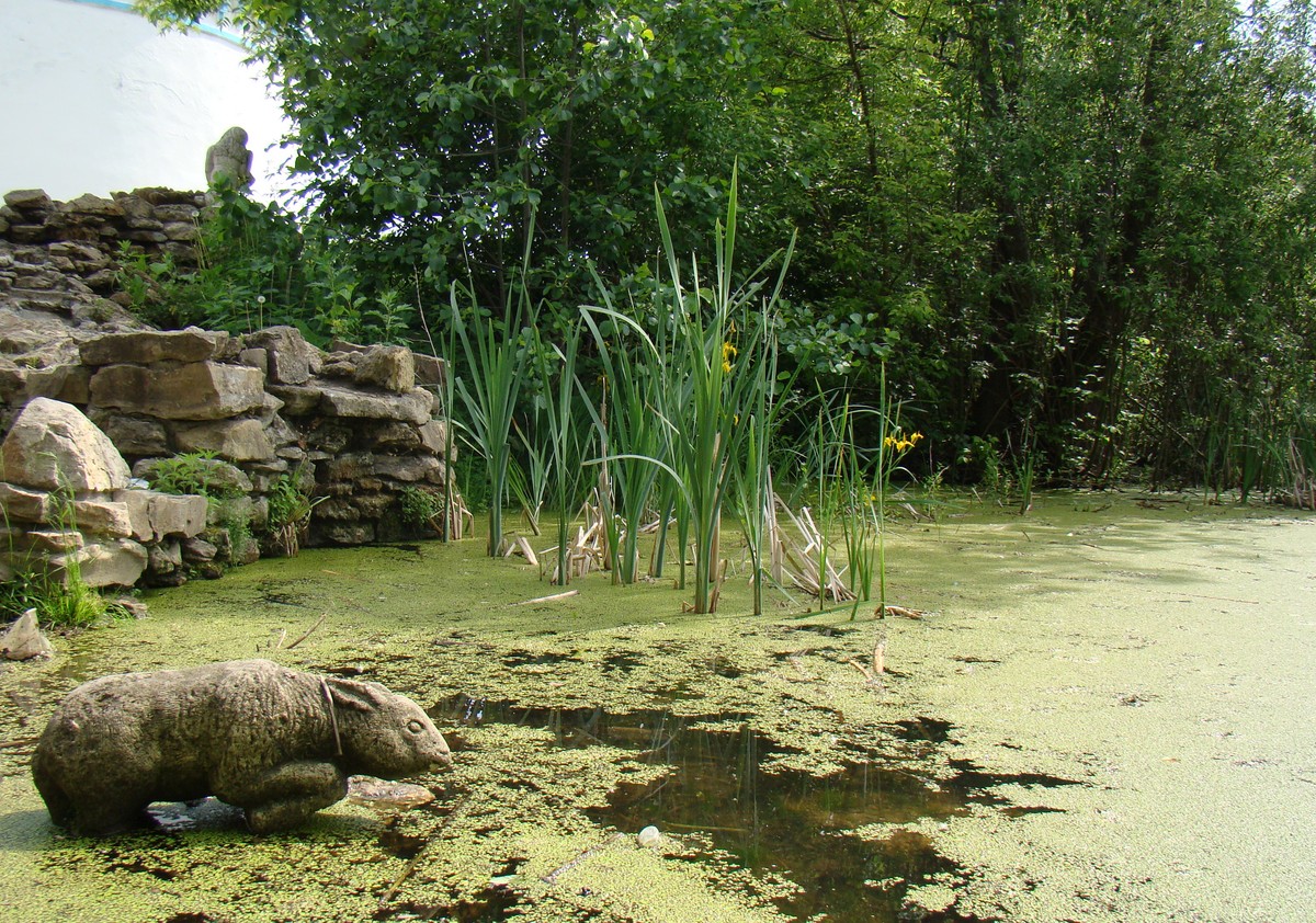 Окрестности Раифы, image of landscape/habitat.