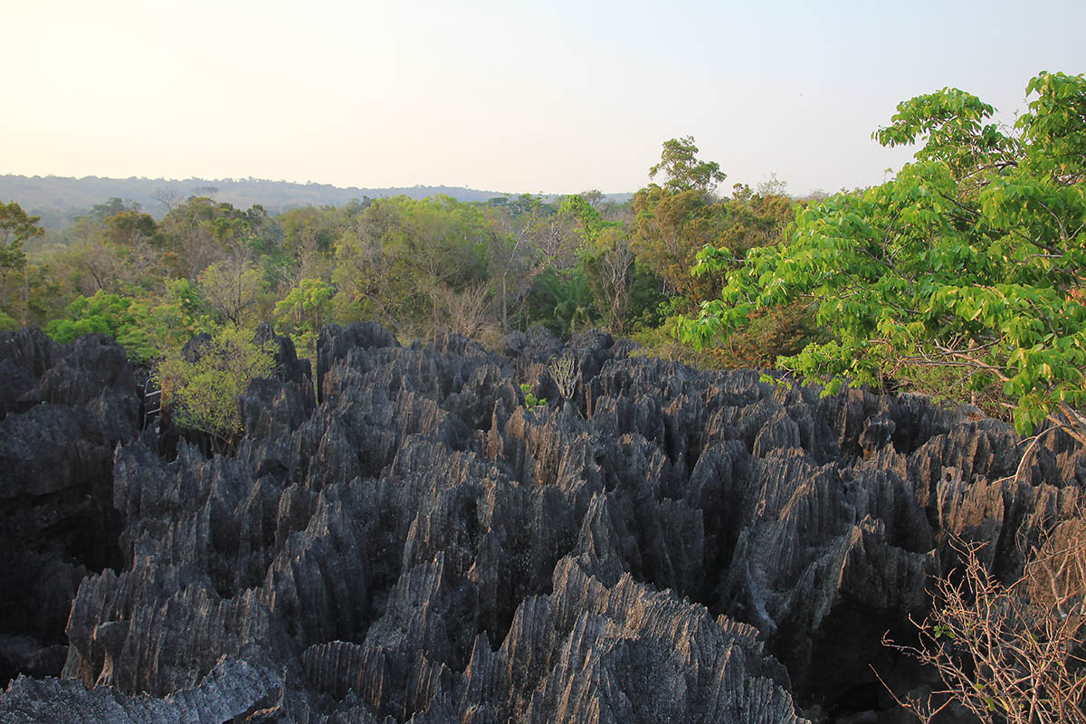 Нацпарк "Цинги Де Бемараха", image of landscape/habitat.