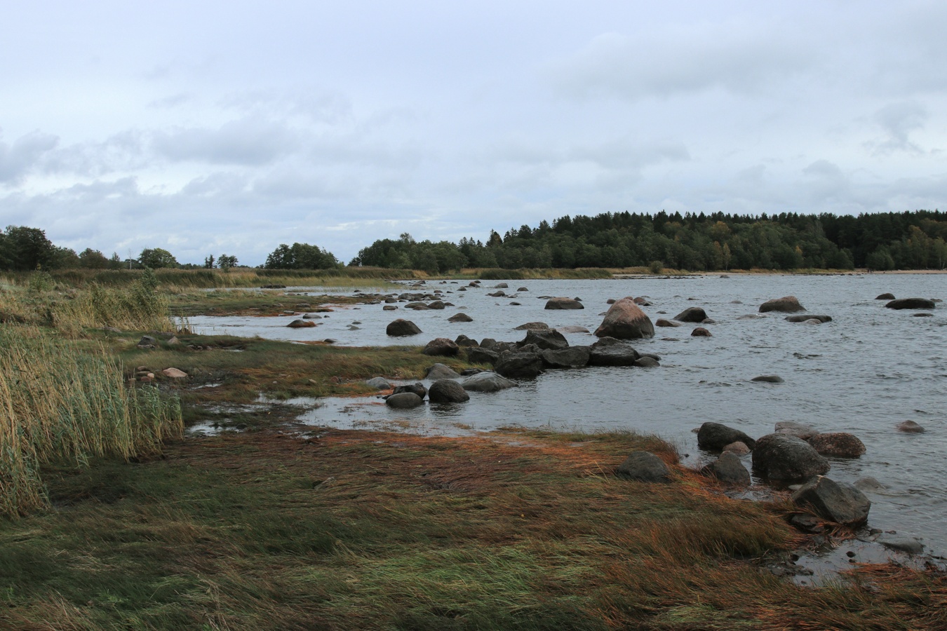 Каравалдай, image of landscape/habitat.