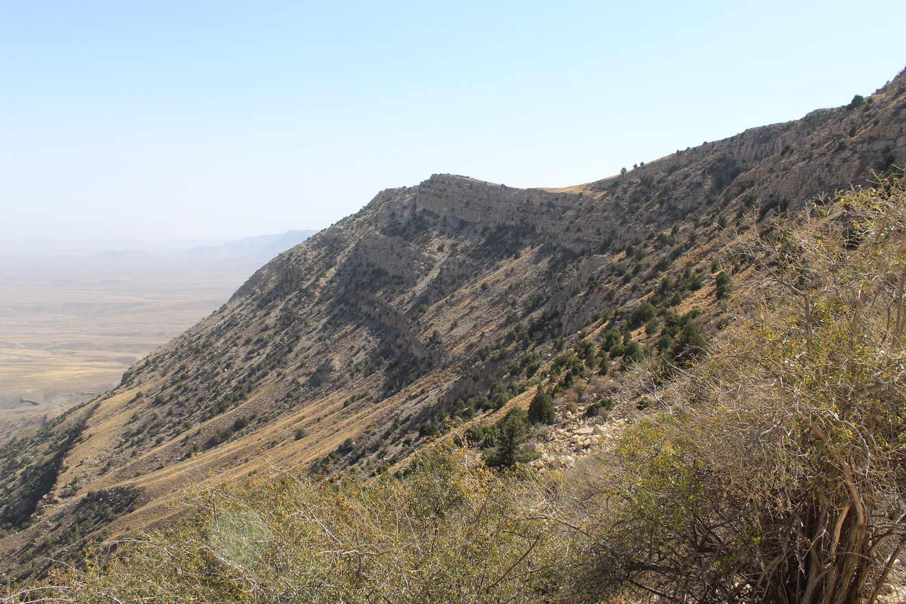 Арлан, image of landscape/habitat.