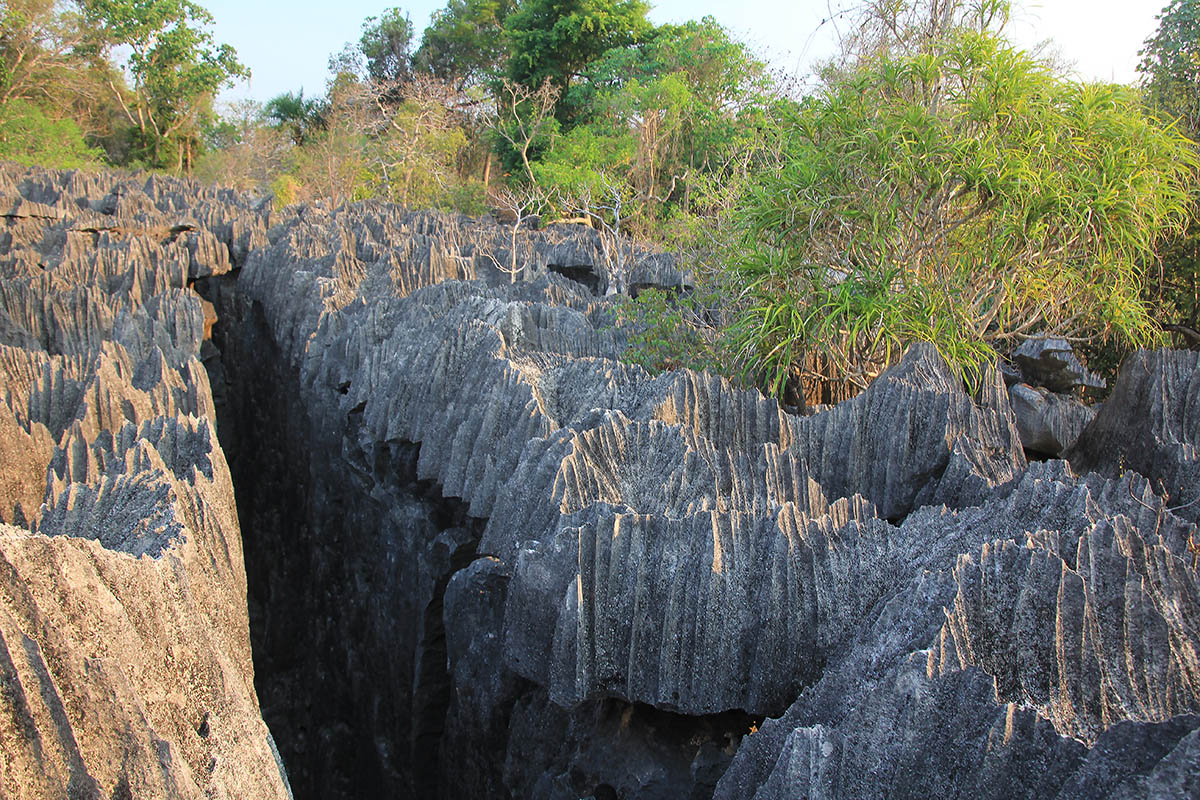 Нацпарк "Цинги Де Бемараха", image of landscape/habitat.