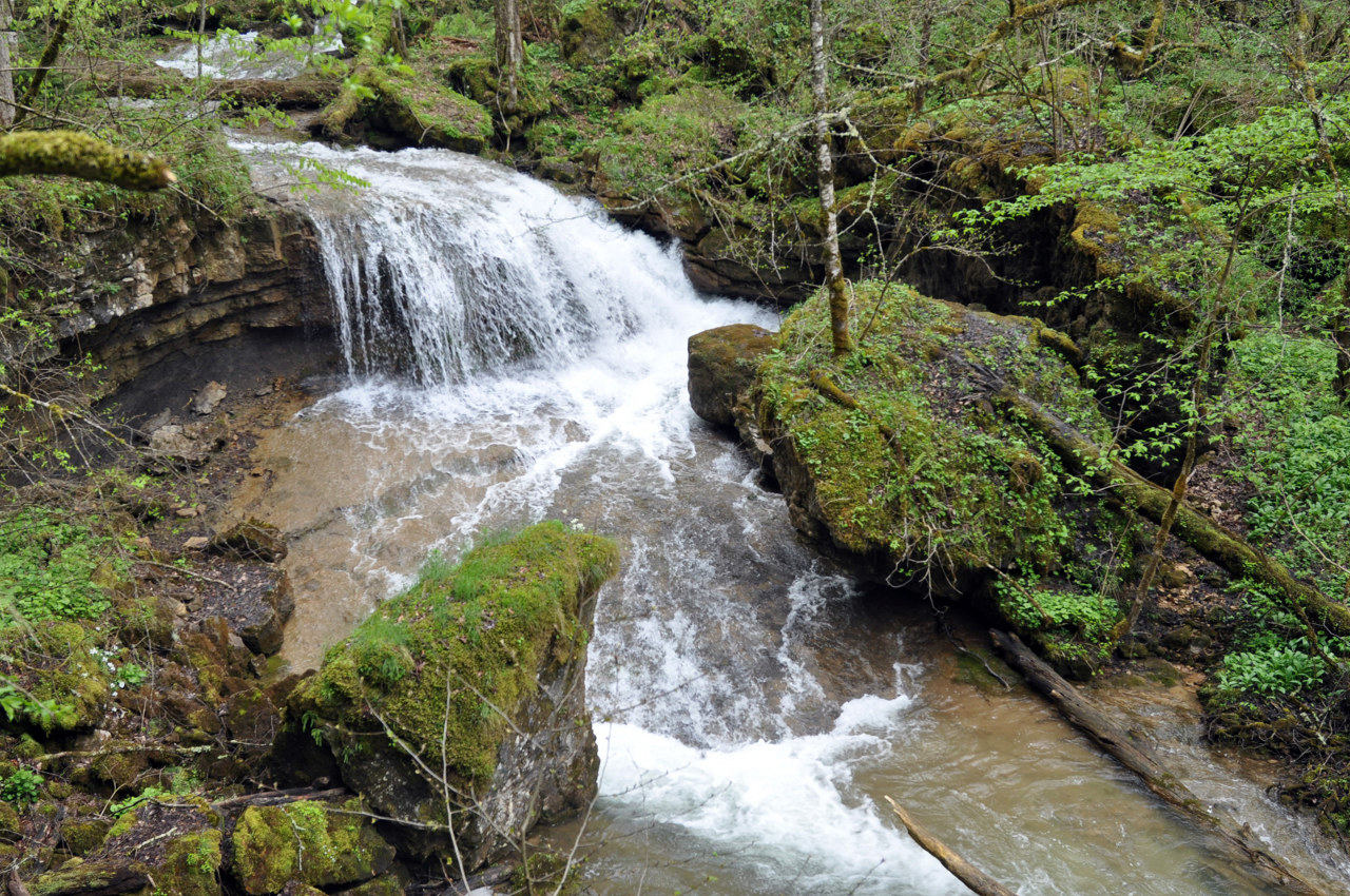 Долина реки Мезмай, image of landscape/habitat.