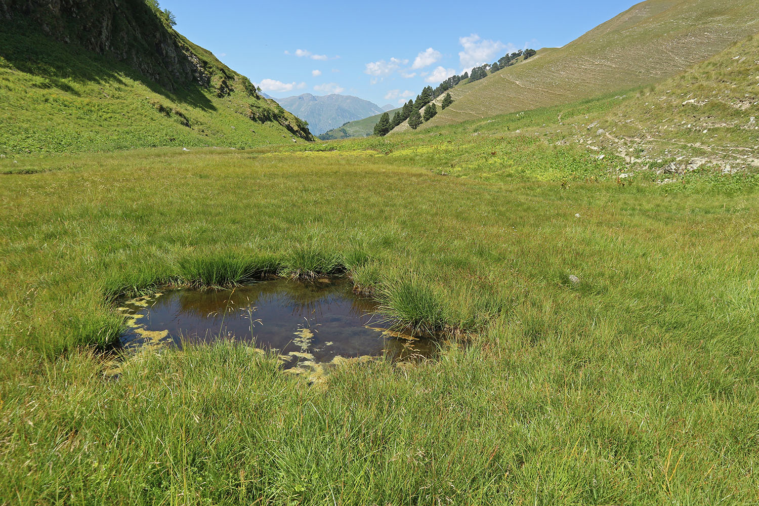 Долина реки Загедан, image of landscape/habitat.