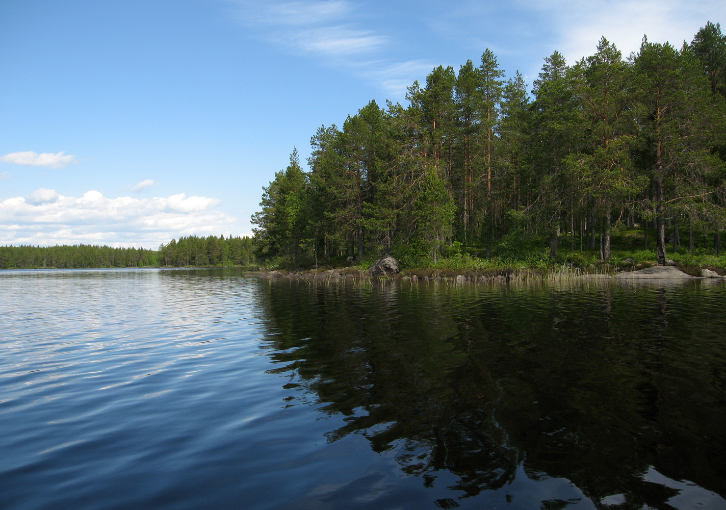 Окрестности поселка Вокнаволок, image of landscape/habitat.