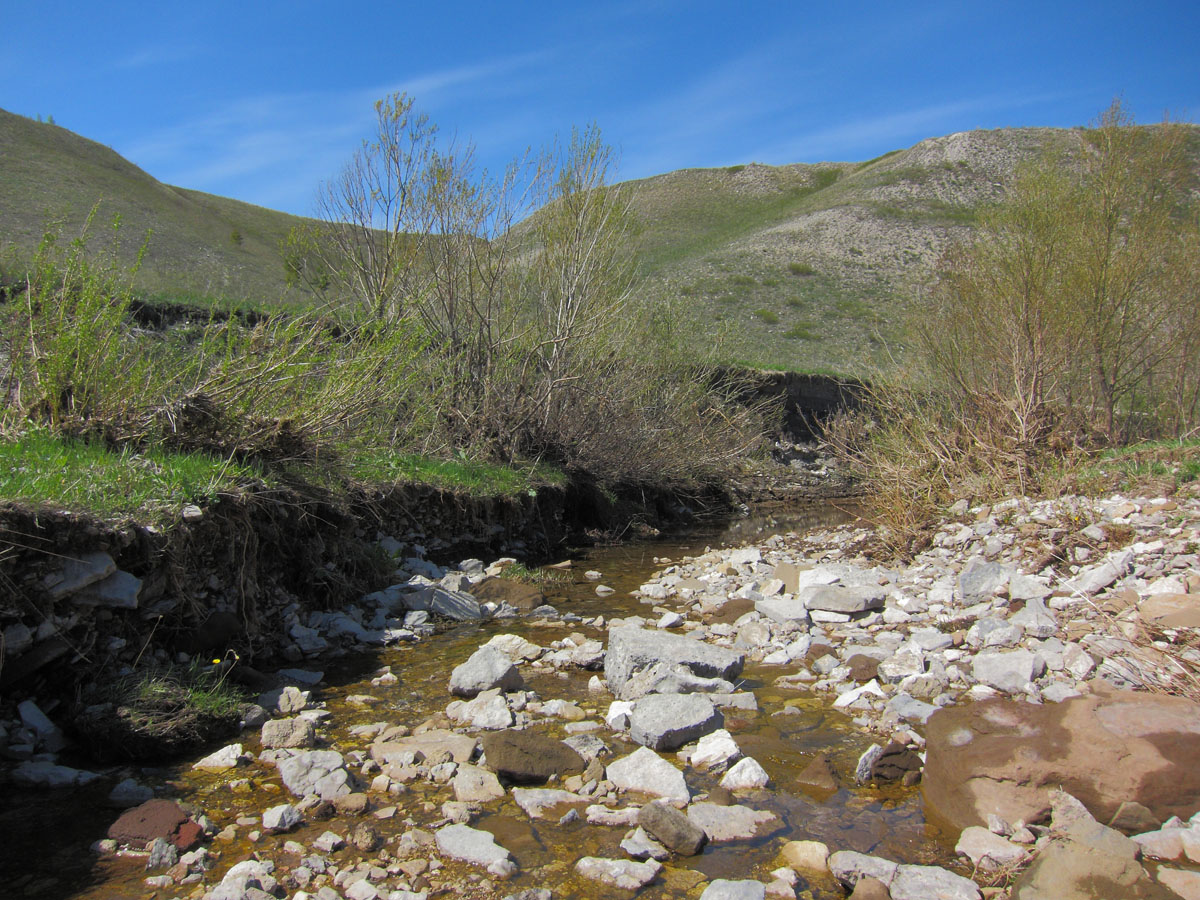 Салиховская гора, image of landscape/habitat.