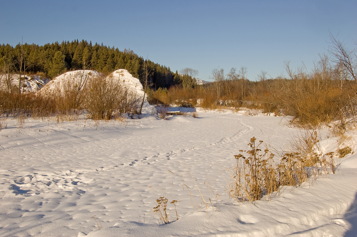 Инзерские Зубчатки, image of landscape/habitat.