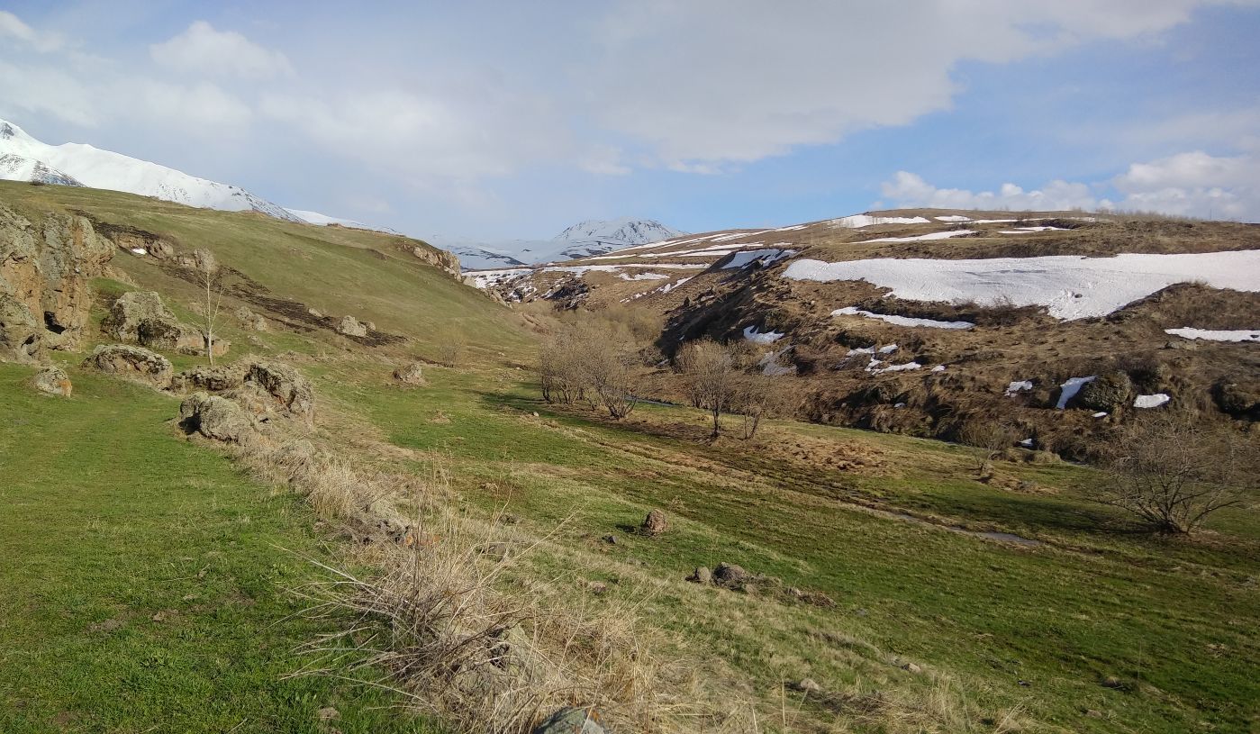 Долина реки Мегреки, image of landscape/habitat.