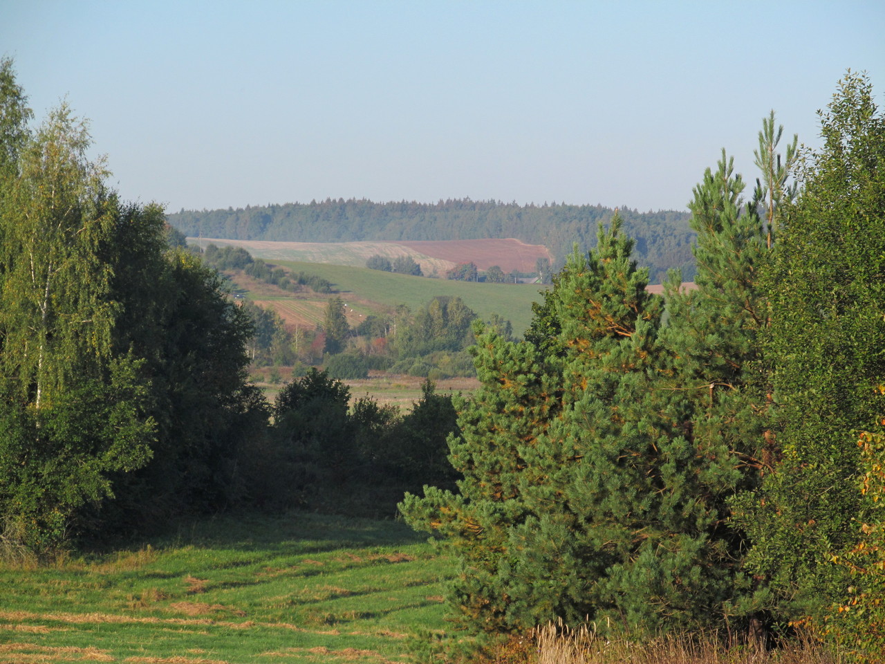 Сулятичи, image of landscape/habitat.