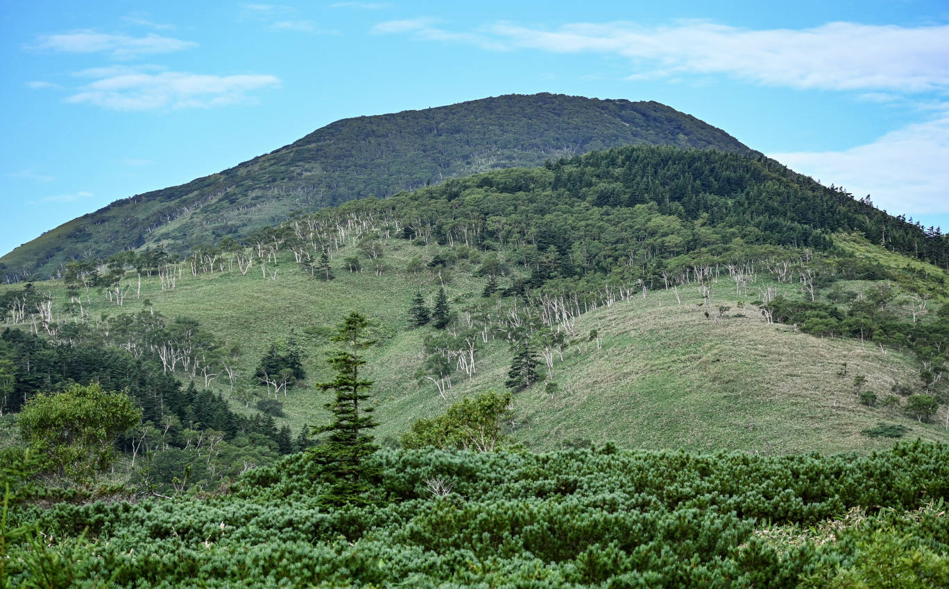 Вулкан Головнина, image of landscape/habitat.