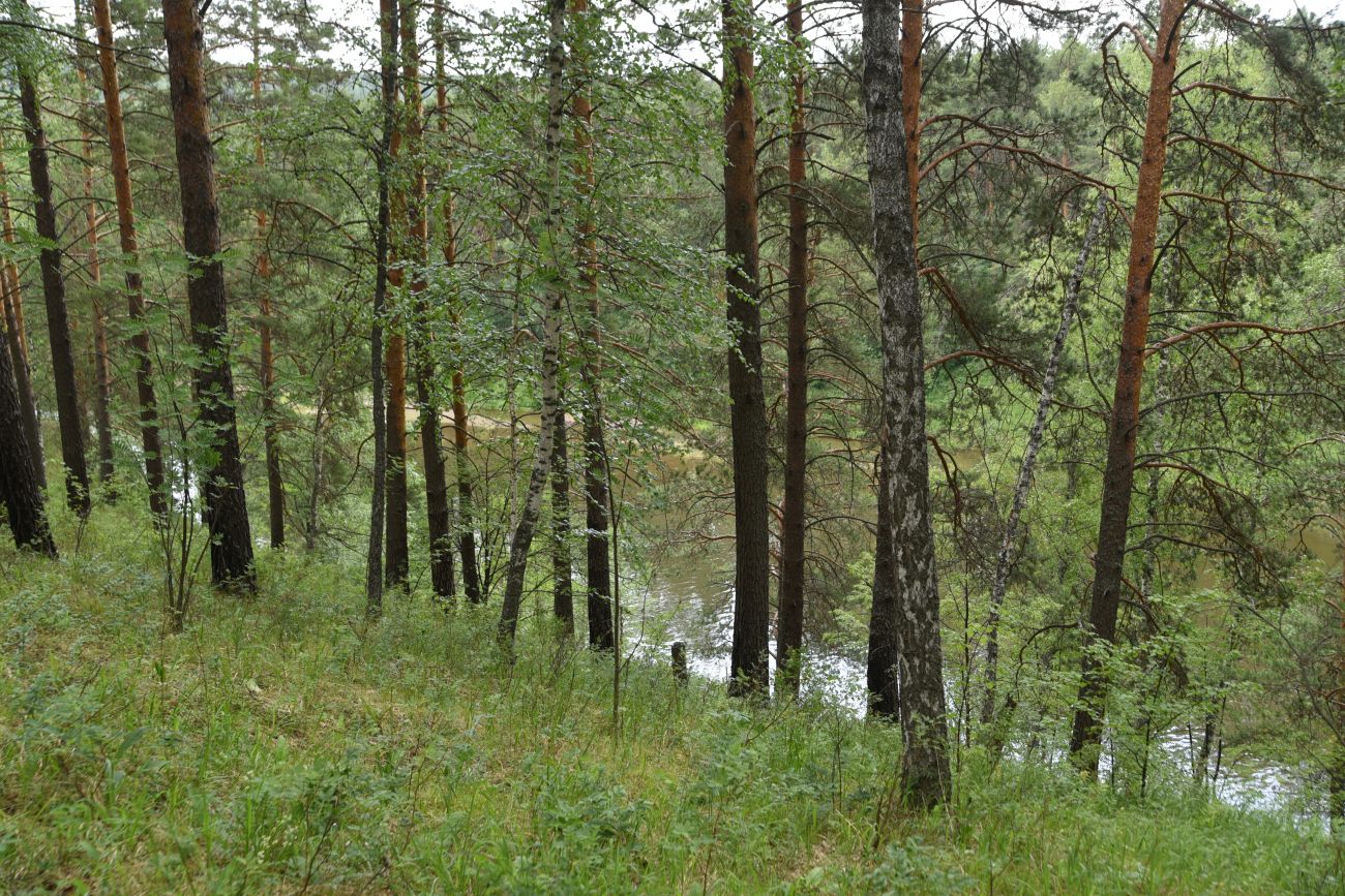 Скала Яман-Таш и окрестности, image of landscape/habitat.