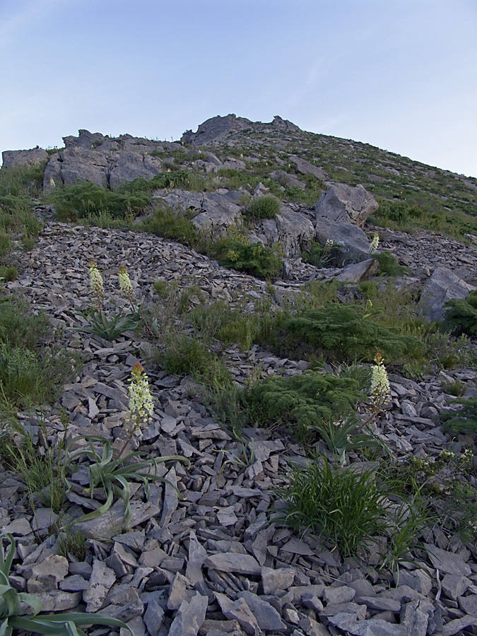 Ущелье Кенозен, image of landscape/habitat.